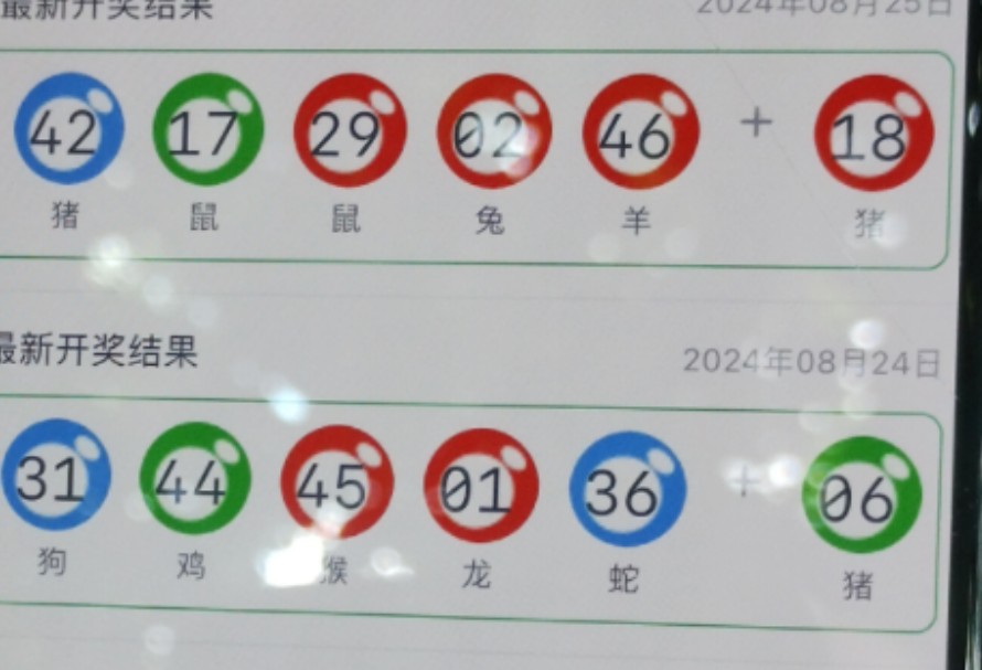 新奥门一肖一码资料的重要性及其SEO优化策略，新奥门一肖一码资料的重要性与SEO优化策略探讨