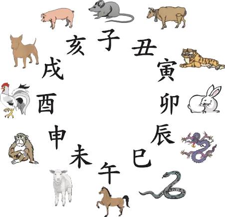 王中王指一生肖282期，深度解析与预测，王中王指一生肖282期深度解析与预测报告