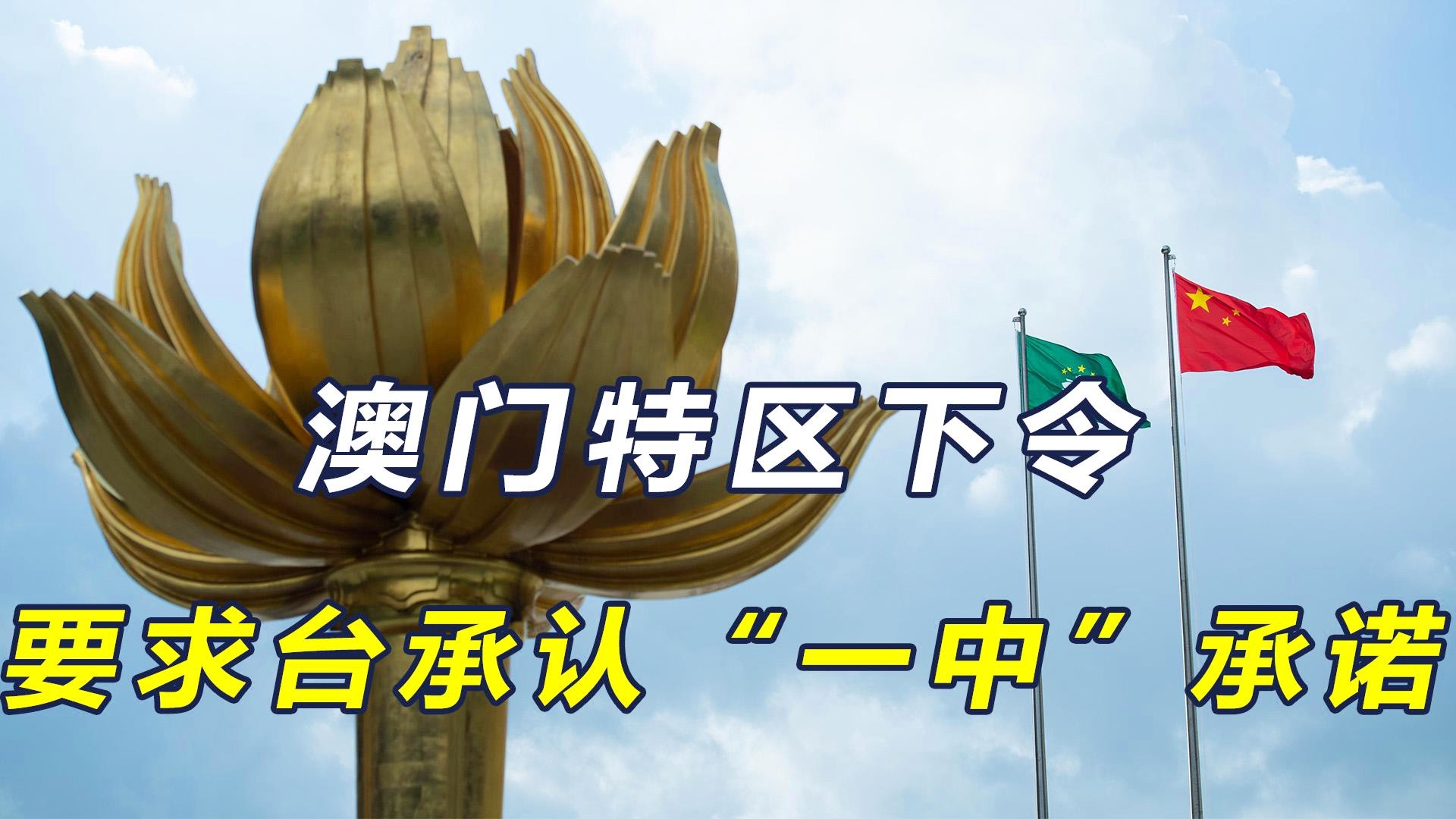 澳门一码一肖一特一中直播结果