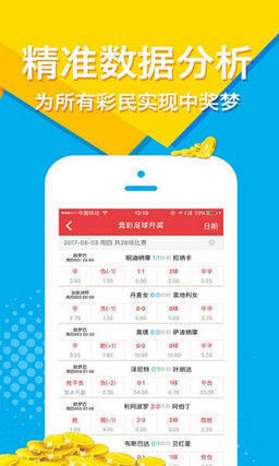 王中王肖一码大公的开奖秘密与SEO优化策略，王中王肖一码大奖背后的开奖秘密与SEO策略揭秘