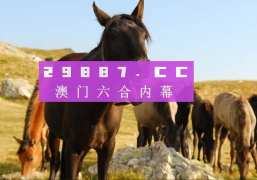 新澳门管家婆免费资料查询——全方位信息获取指南，澳门管家婆免费资料查询全攻略，全方位信息获取指南