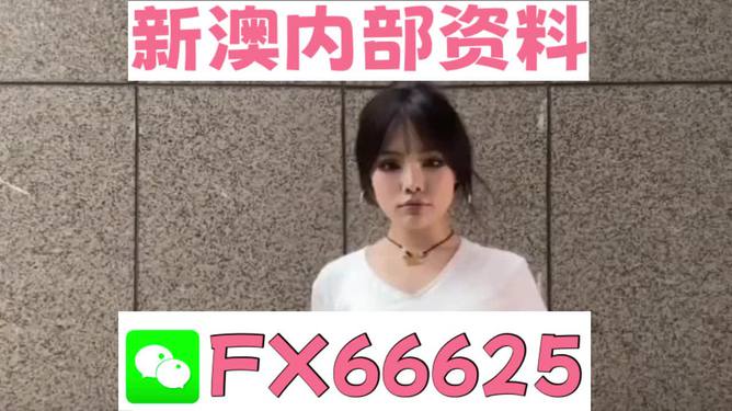 澳门正版资料大全特色功能解析，澳门正版资料大全特色功能详解