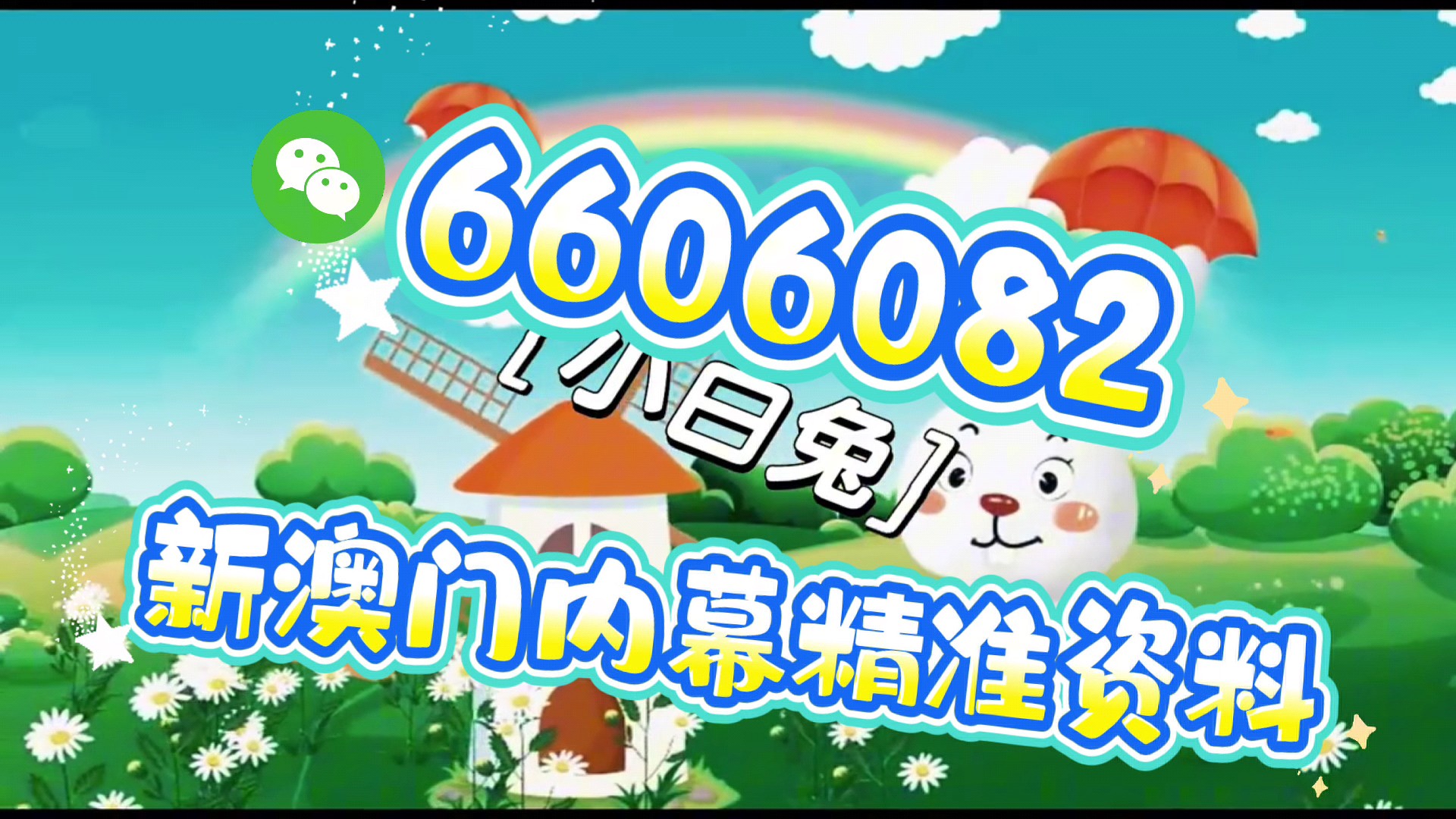 澳门内部四肖八码期期准免费资料揭秘与探索，澳门四肖八码期期准内部资料揭秘与探索，免费资料大揭秘
