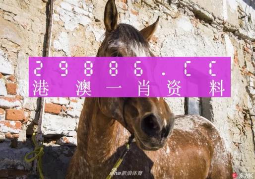 王中王资料一肖正特马，深度解析与探索，王中王资料一肖正特马深度解析与探索揭秘