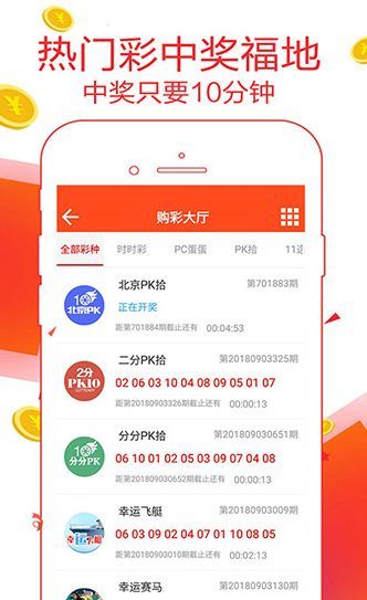 王中王中博一肖二码，深度解析与SEO优化策略，王中王中博一肖二码深度解析与SEO优化策略探讨