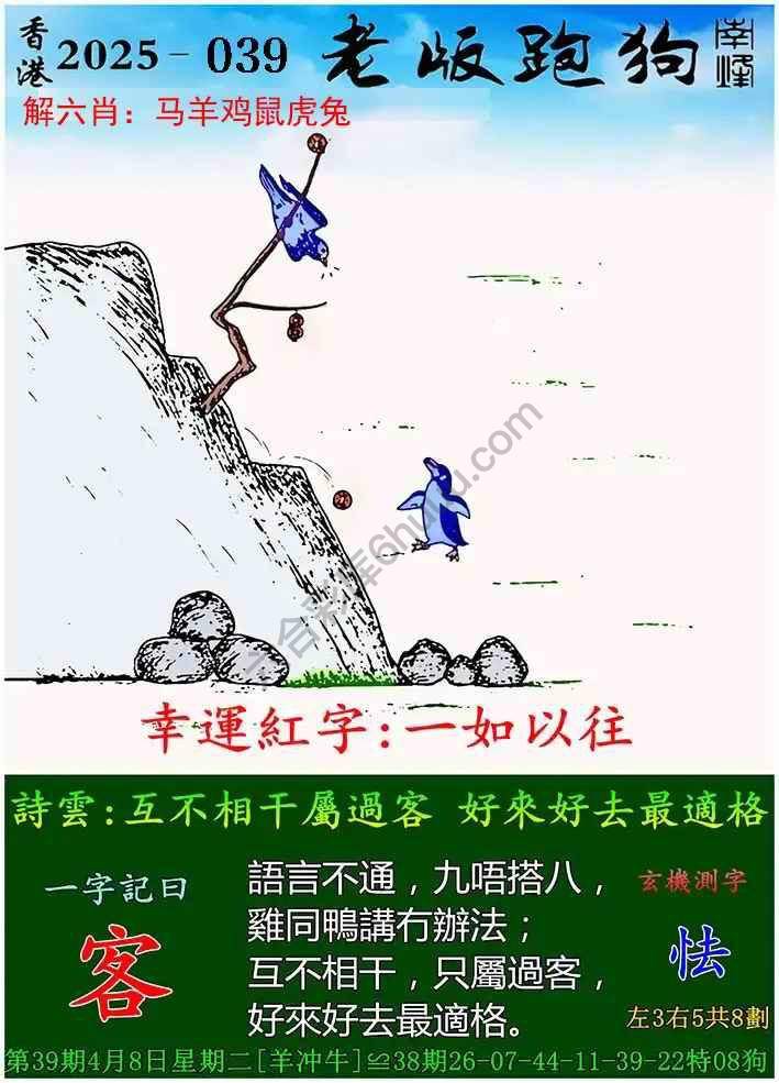 今期澳门跑狗图，探索背后的奥秘与乐趣，澳门跑狗图，探索背后的奥秘与魅力