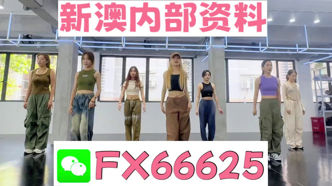 新澳一肖，探索背后的故事与奥秘，新澳一肖，背后的故事与奥秘探索