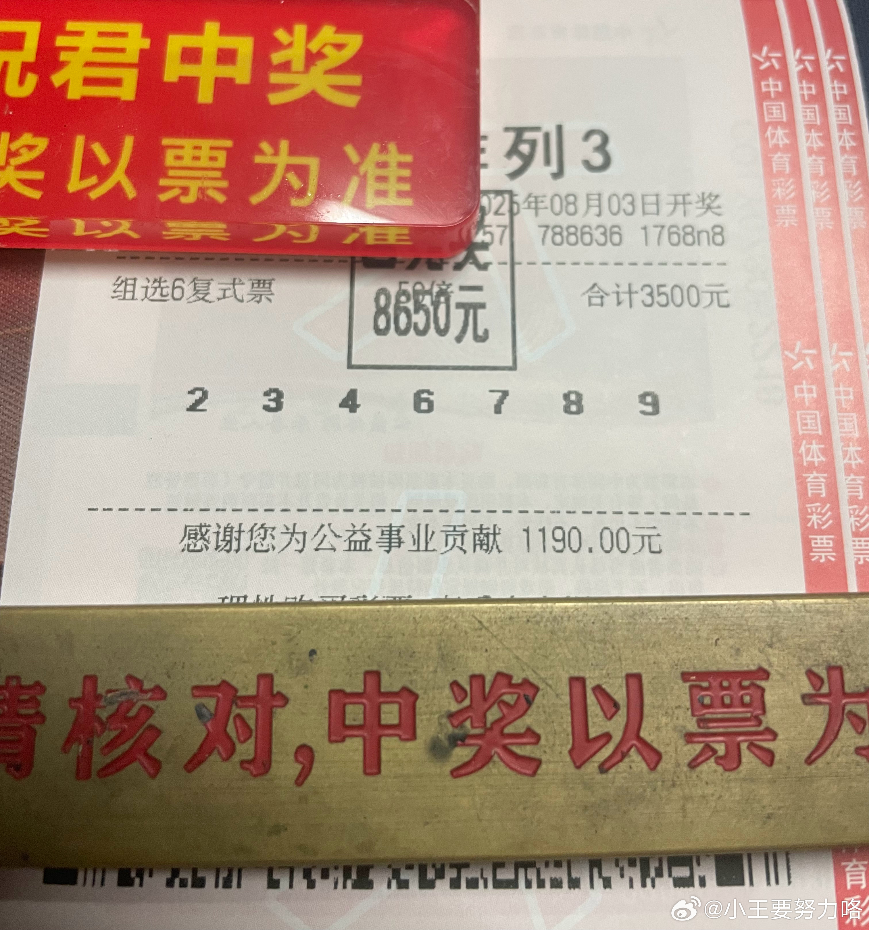 王中王504一肖中特，揭秘背后的秘密与独特魅力，揭秘王中王504一肖中特的独特魅力与背后秘密