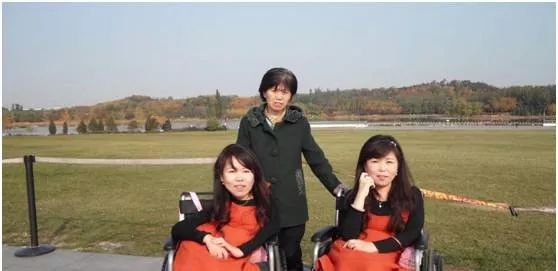 小鱼儿一肖王中王兴典，揭秘背后的故事与SEO策略，揭秘小鱼儿一肖王中王兴典背后的故事与SEO策略之道