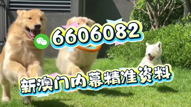 生肖彩票