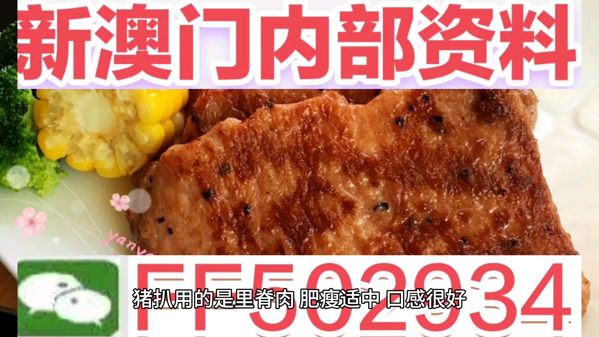 澳门特马今晚开奖大众网——探索彩票背后的故事与未来趋势，澳门特马今晚开奖探索，彩票背后的故事与未来趋势揭秘
