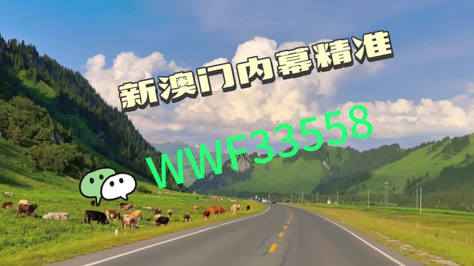 王中王一肖一中特，探寻背后的秘密与奥秘，探寻王中王一肖一中特背后的秘密与奥秘