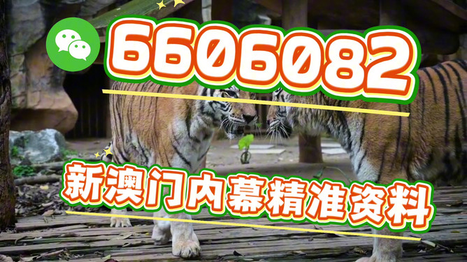 澳门必开一肖一特马，揭秘背后的秘密与策略，澳门必开一肖一特马背后的秘密与策略揭秘