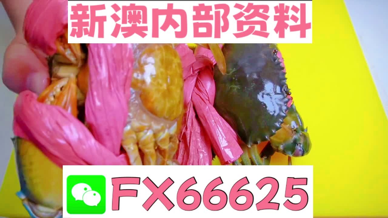 新澳资料免费资料大全——一站式获取所有你需要的信息，新澳资料免费大全，一站式获取所有必需信息