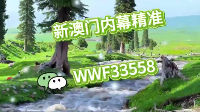 特马王中王一肖一马，探寻背后的奥秘与SEO策略，特马王中王一肖一马，背后的奥秘与SEO策略解析