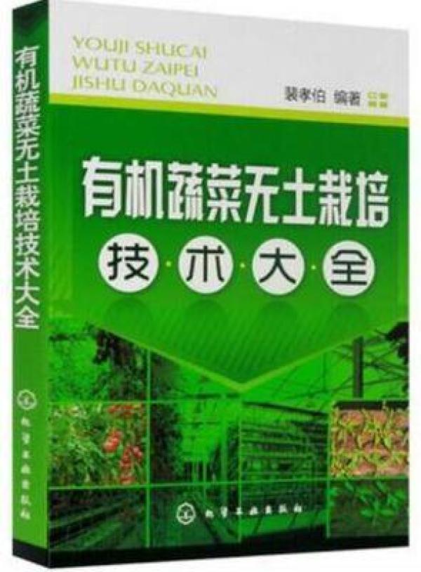 正版资料与综合资料，探索知识的宝库，正版资料与综合资料，知识宝库的探索之旅