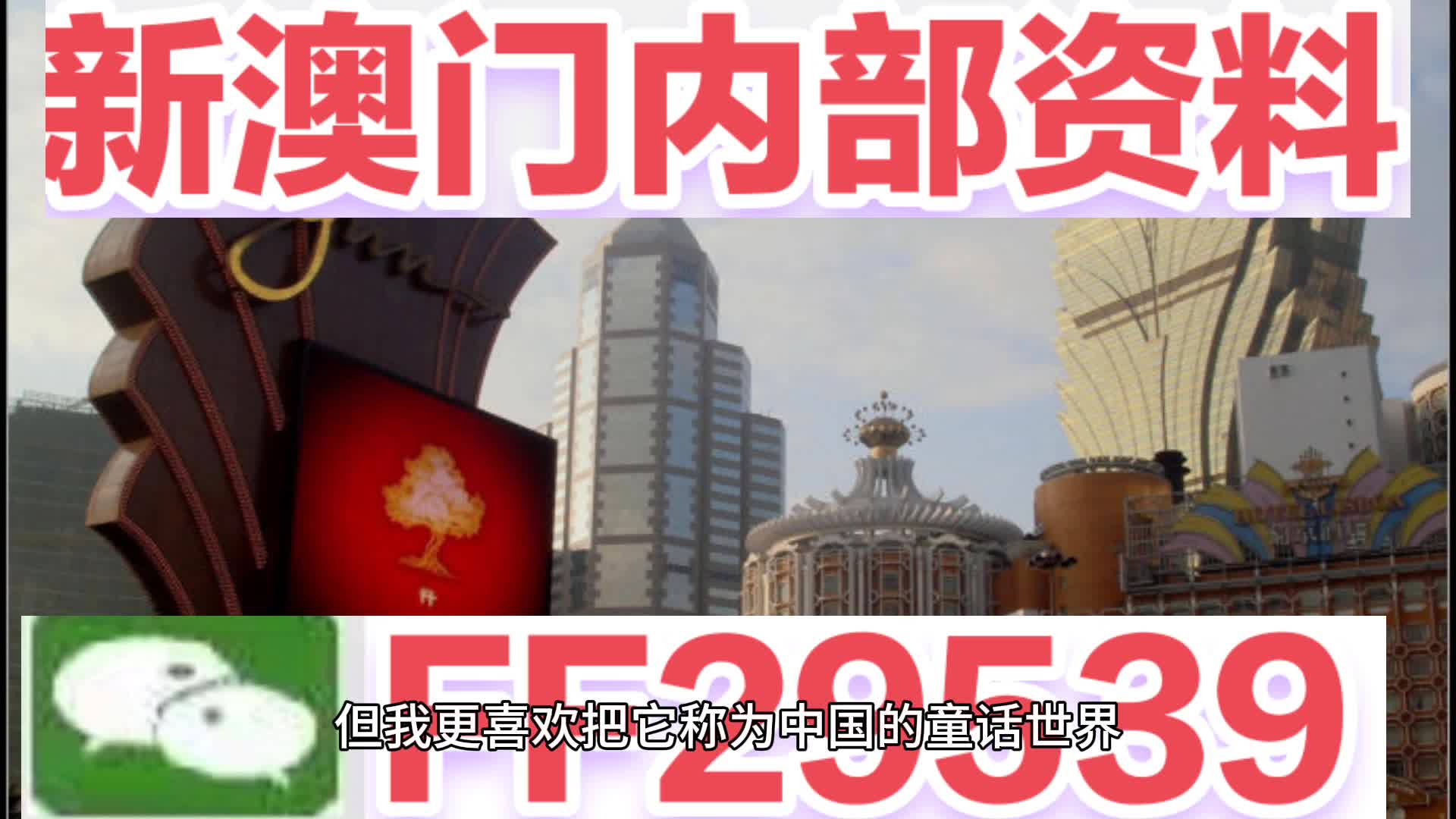 澳门特马今晚开奖81期，探索彩票背后的故事与期待，澳门特马81期开奖，探索彩票背后的故事与期待之夜晚