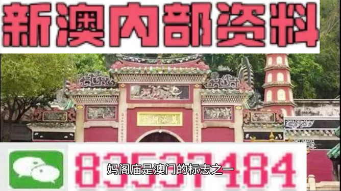 澳门三肖三码精准预测，揭秘黄大仙的神秘面纱与秘密技巧，澳门三肖三码精准预测揭秘，黄大仙的神秘面纱与独门技巧探索