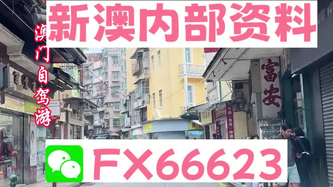 新奥精准免费资料提供，探索与实践的指南，新奥精准免费资料探索与实践指南
