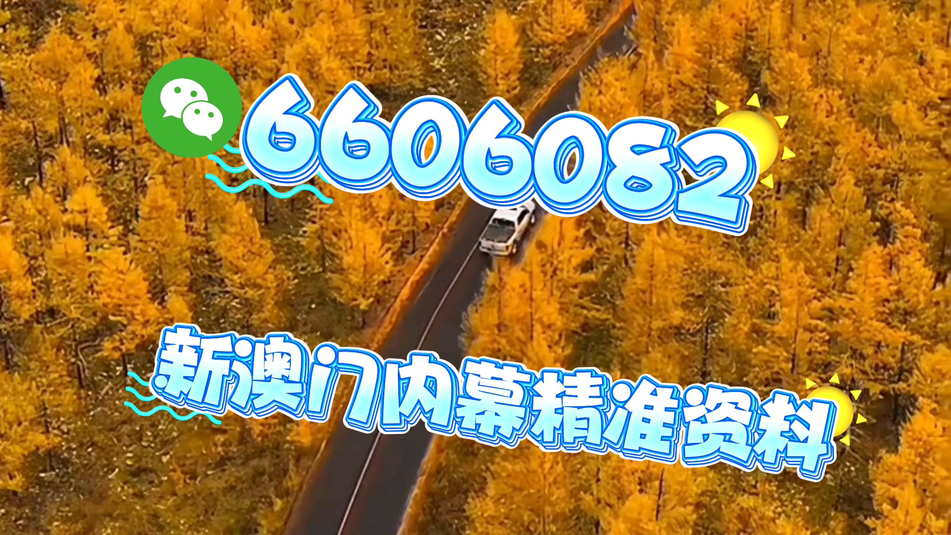 新奥门一肖一马平特大全，探索澳门的独特魅力与历史文化，澳门独特魅力与历史文化探索，新澳门一肖一马平特大全