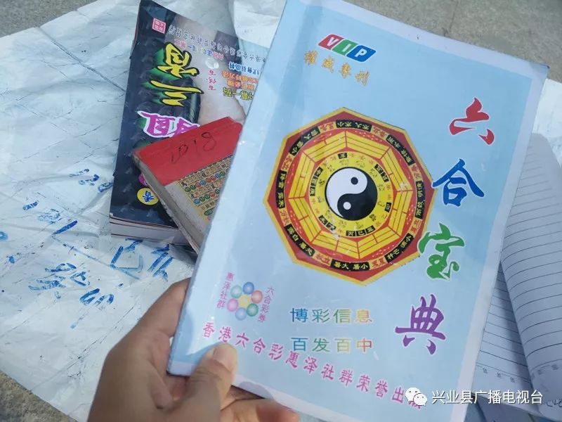 六盒宝典资料免费大全下载——探索知识的宝库，六盒宝典资料免费下载，知识的宝库等你来探索