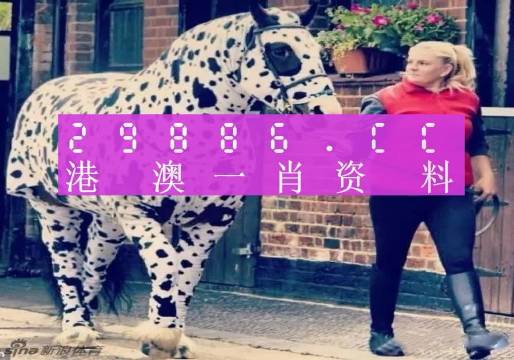 王中王一肖一马中特，探寻背后的故事与奥秘，探寻王中王一肖一马背后的故事与奥秘