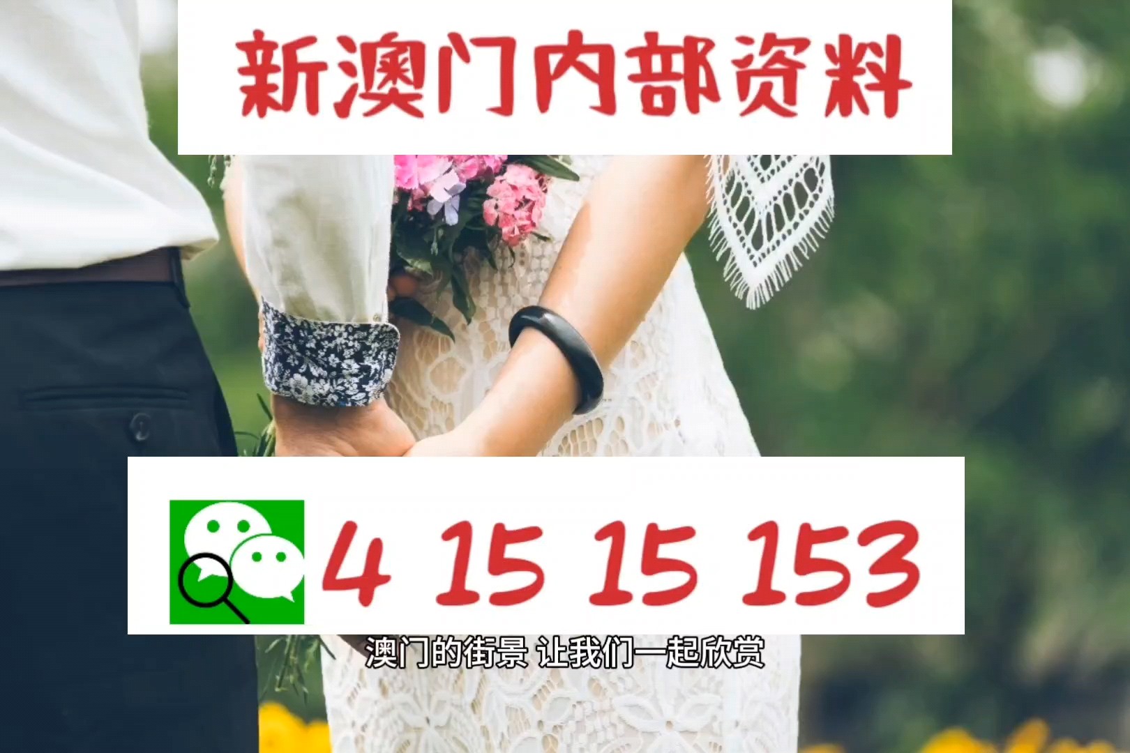 新澳最新最快资料，全面解析与深度探索，新澳资料全面解析与深度探索，最新最快信息一网打尽