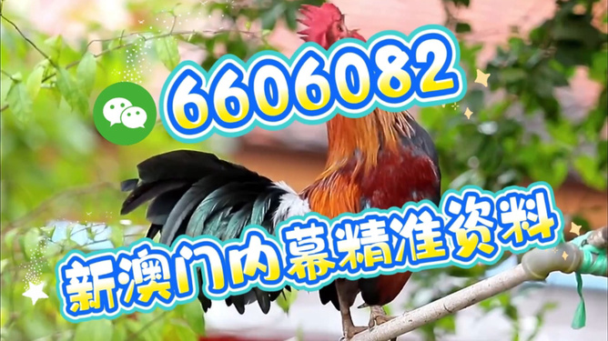 澳门特马今天开奖结果及彩票背后的文化现象，澳门特马今天开奖结果与彩票背后的文化探析