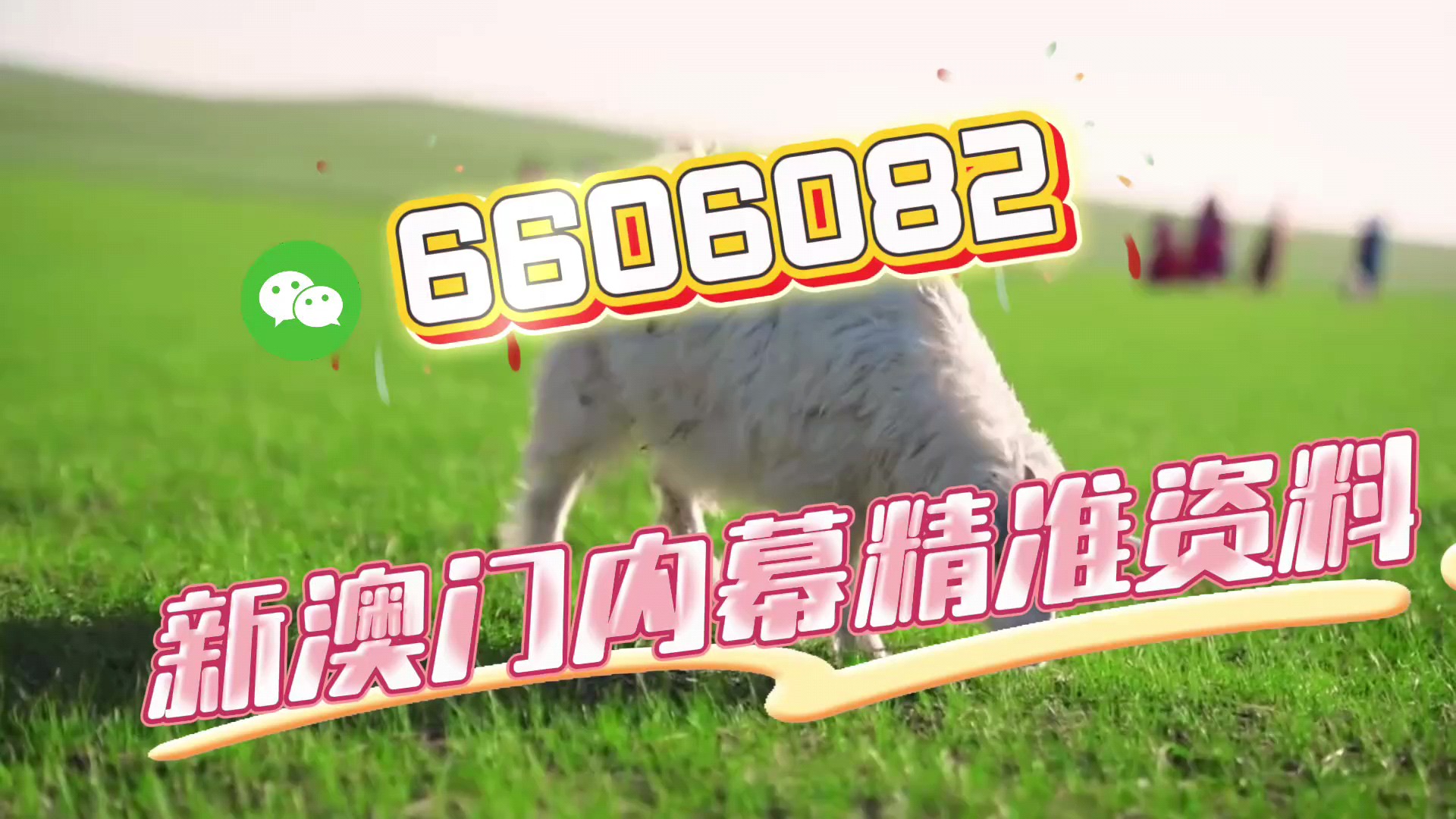 揭秘最准一肖一码一一中一特，掌握幸运之钥，揭秘幸运之钥，最准一肖一码一一中特揭秘！