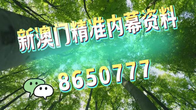 澳门精准特肖，探索未来趋势与预测（SEO优化文章），澳门精准特肖，未来趋势探索与预测分析（SEO优化标题）