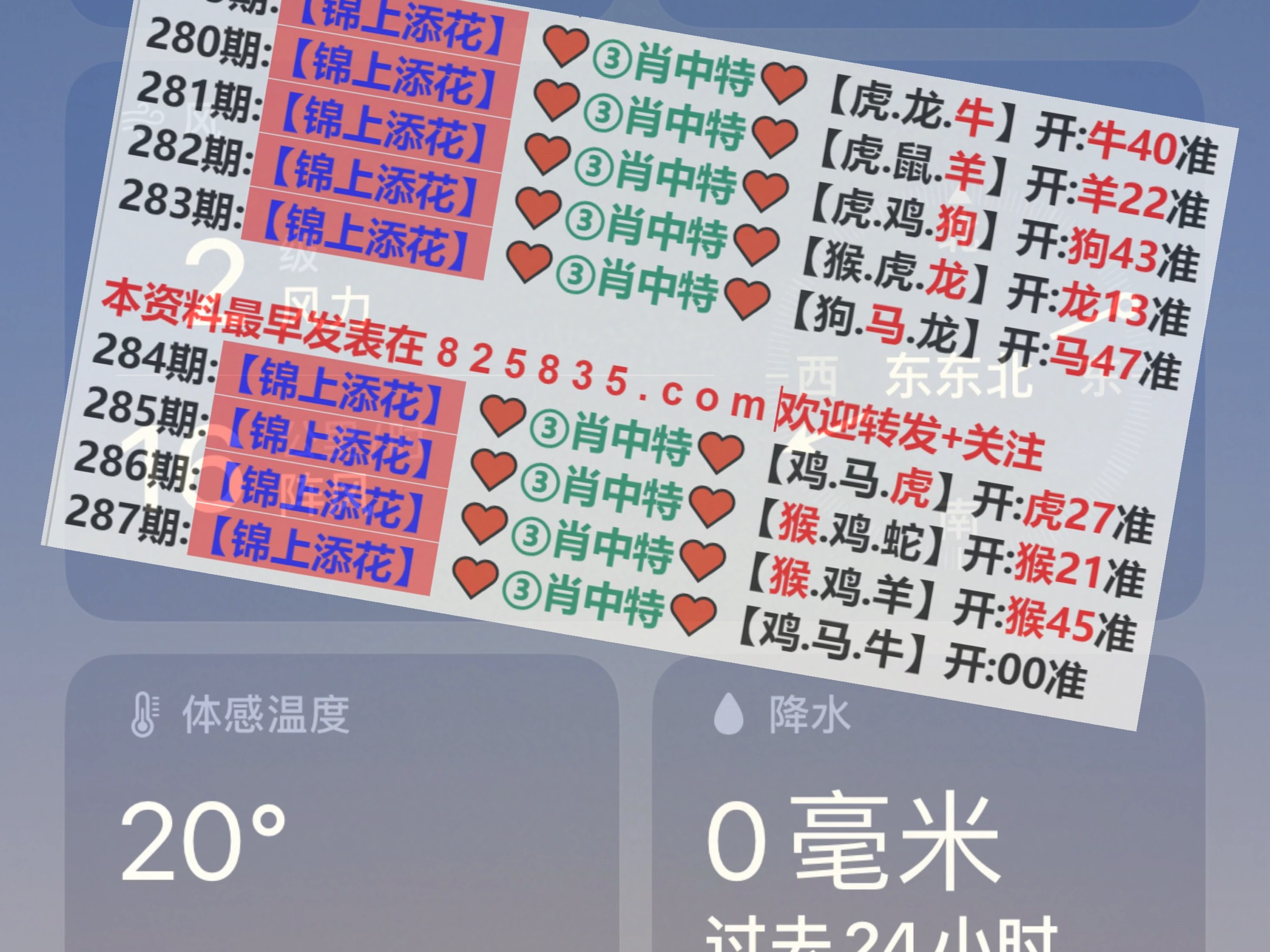 新澳2025年精准一肖一码，预测与策略分析，新澳2025精准生肖预测与策略深度解析