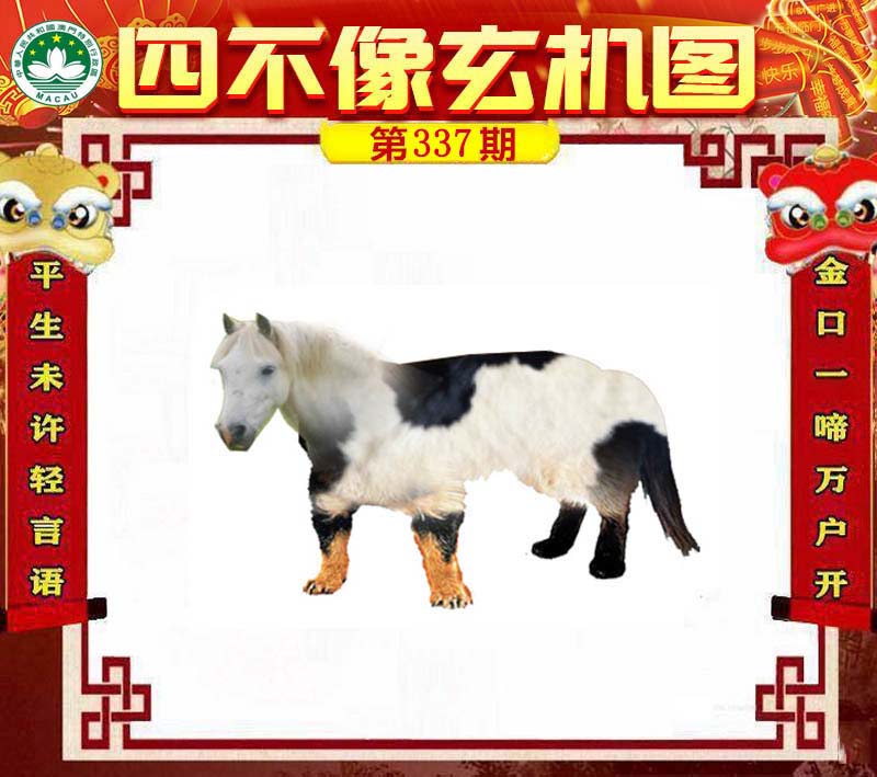 王中王必中四不像一肖，揭秘彩票背后的秘密与策略，揭秘彩票背后的秘密与策略，王中王必中四不像一肖探讨