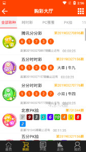 王中王2019平特一肖wwwcn，揭秘背后的故事与奥秘，揭秘王中王2019平特一肖背后的故事与奥秘